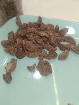 Amla